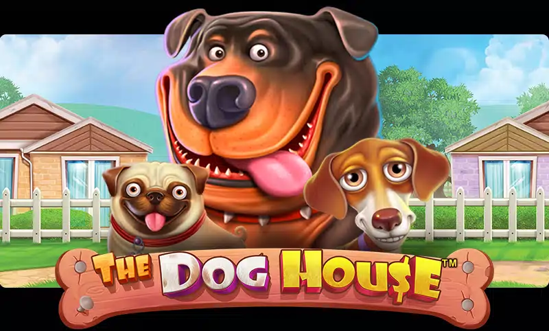 dog house slot