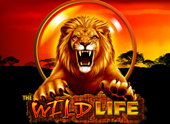 wild life slot
